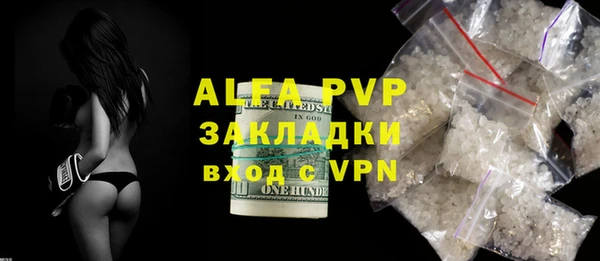 гидра Корсаков