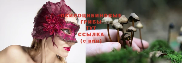 стафф Костерёво