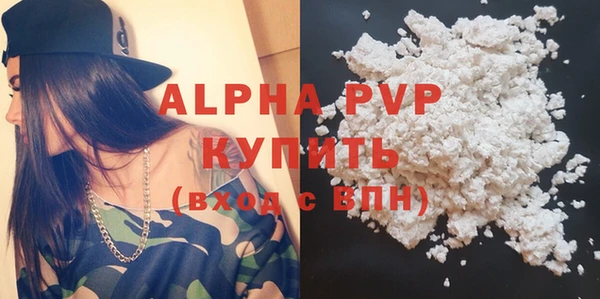 гидра Корсаков
