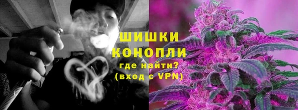 гидра Корсаков