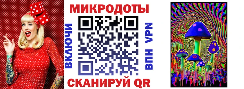 Купить  Пересвет  Псилоцибиновые грибы Psilocybe 